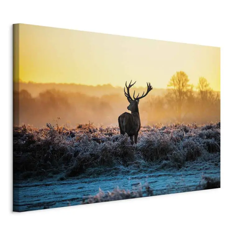 Dein ultimativer Guide für den perfekten Wochenendtrip