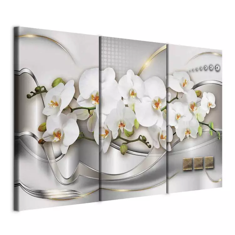 Blühende Orchideen I