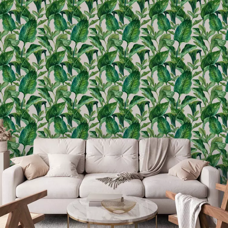 Tropical Paradise