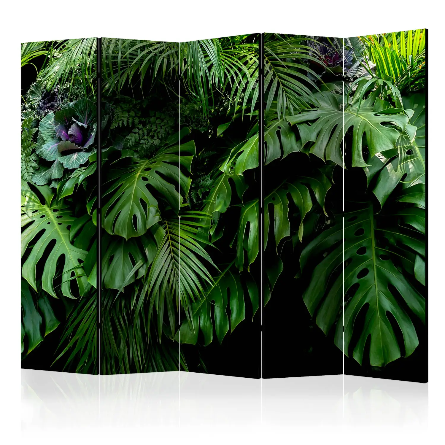 philodendron cream Philodendron Cream Splash – Exotic-Flowers