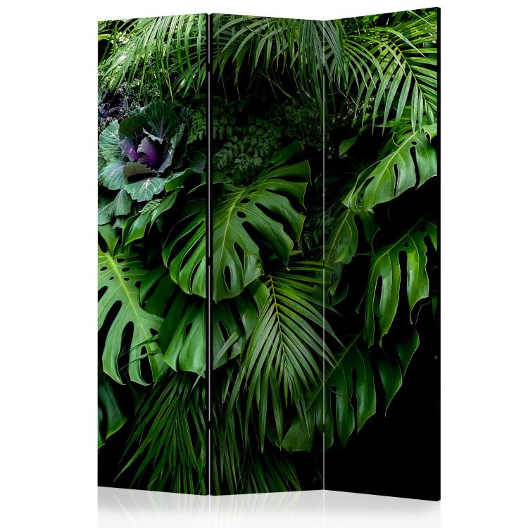 Paravent Rainforest [Room Dividers]