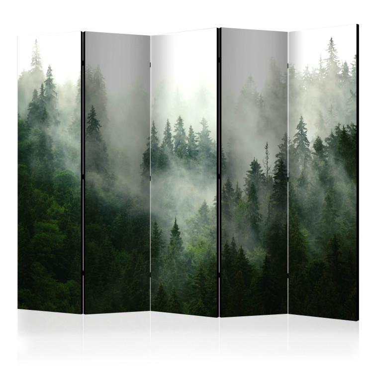 Paravent Coniferous Forest II [Room Dividers]