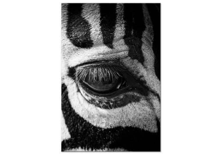 Leinwandbild Gestreiftes Tier (1-teilig) - Blick auf ein Schwarz-Weiß-Zebra