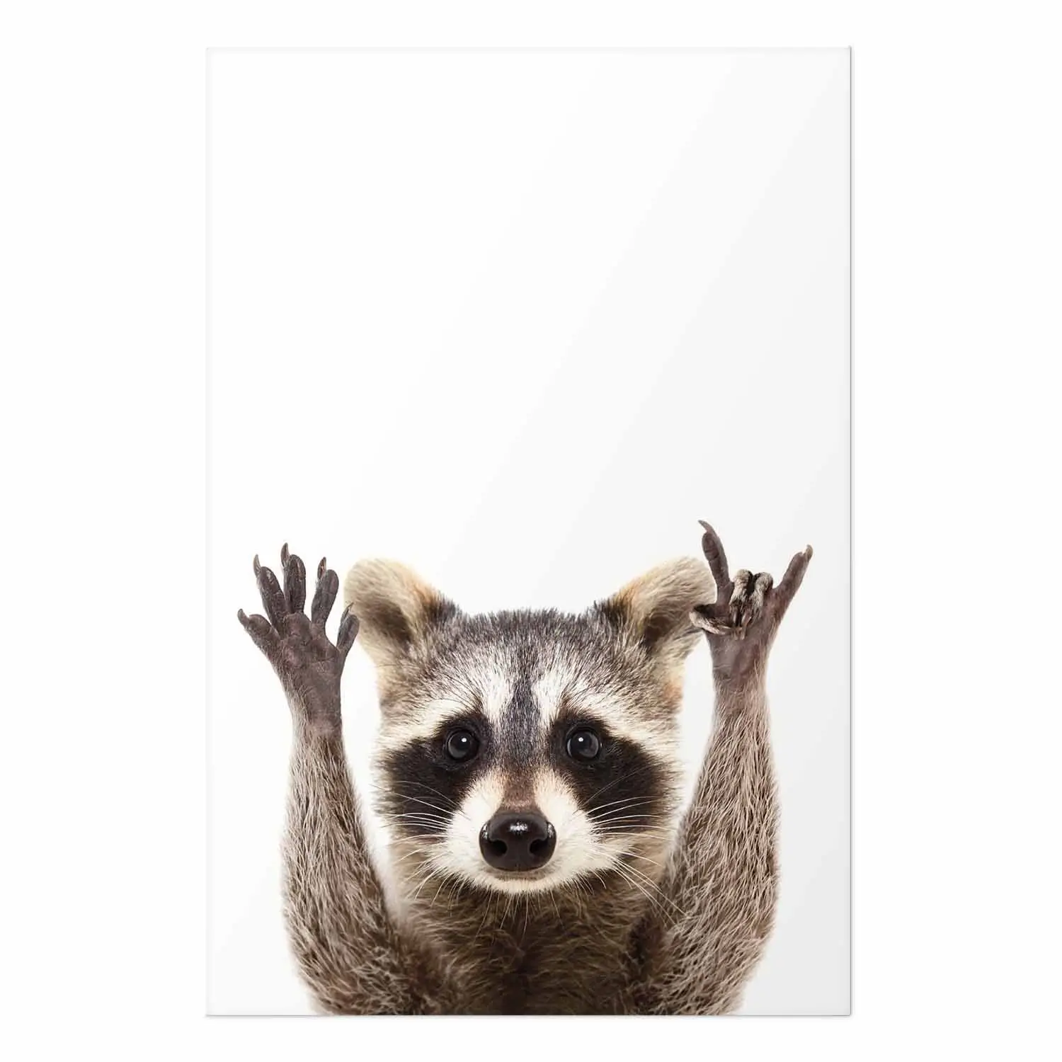 Waschbär-Flagge 90x150 Cm Mit Zitat – Lustiges Meme-Banner Für Zimmer, Garten & Studentenwohnheim
