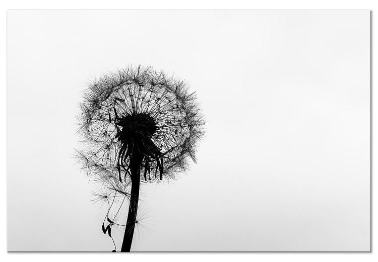 Leinwandbild Leichtigkeit der Natur (1-teilig) - Pusteblume in Schwarz-Weiß
