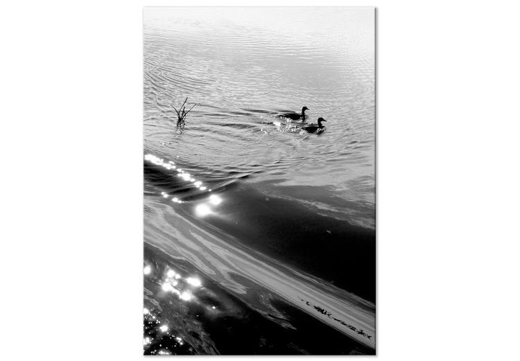 Leinwandbild Entenfreundschaft - Schwarz-Weiß-Foto von zwei Vögeln im Wasser
