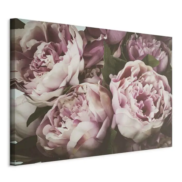Bouquet pastellfarbener Blumen - Pfingstrosen in Rosa