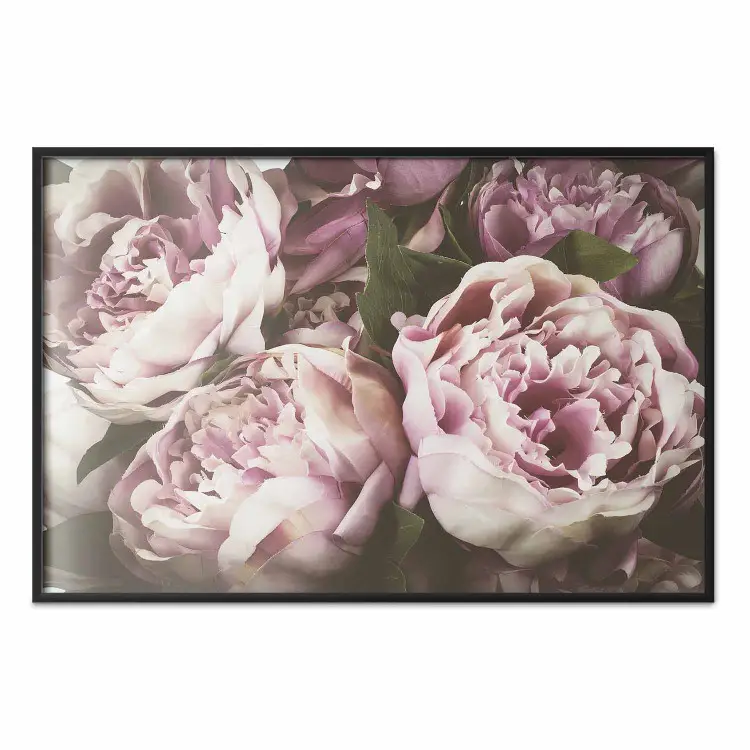 Rosa Pfingstrosen - Pflanzliche Komposition mit Pastellfarbenen Blumen