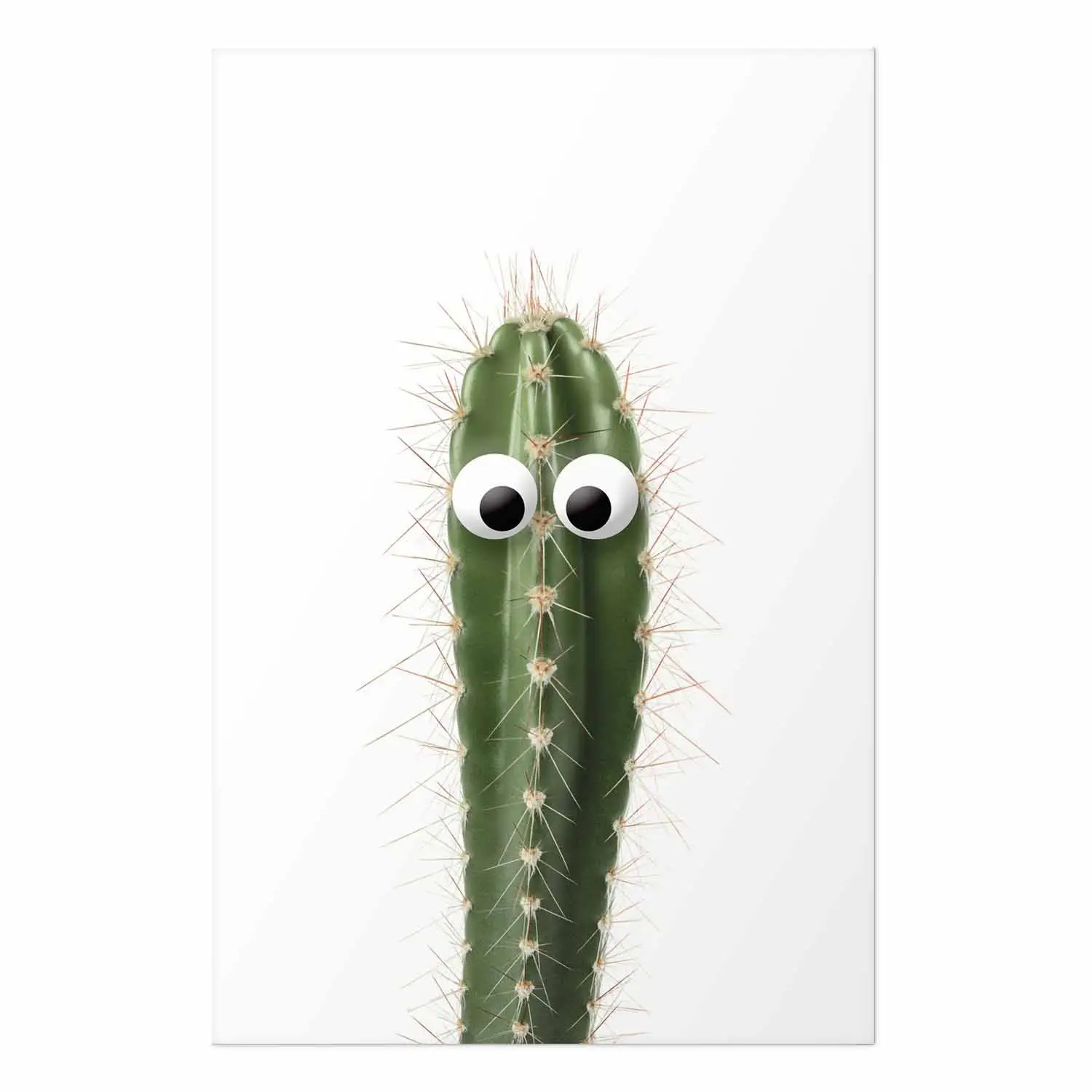 Wandposter Lebender Kaktus - Lustige grne Pflanze mit Augen - Poster -  bimago