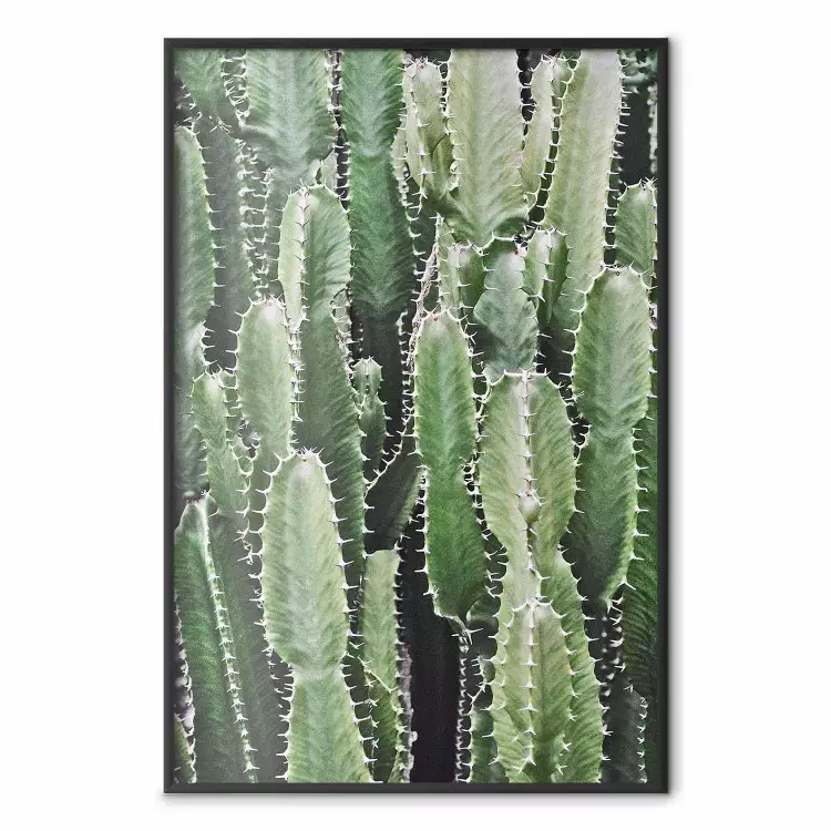Kaktusgarten - Komposition mit stacheligen Pflanzen in Grüntönen