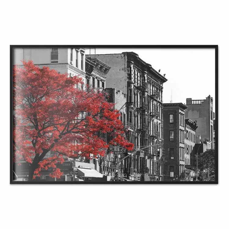 Herbst in New York