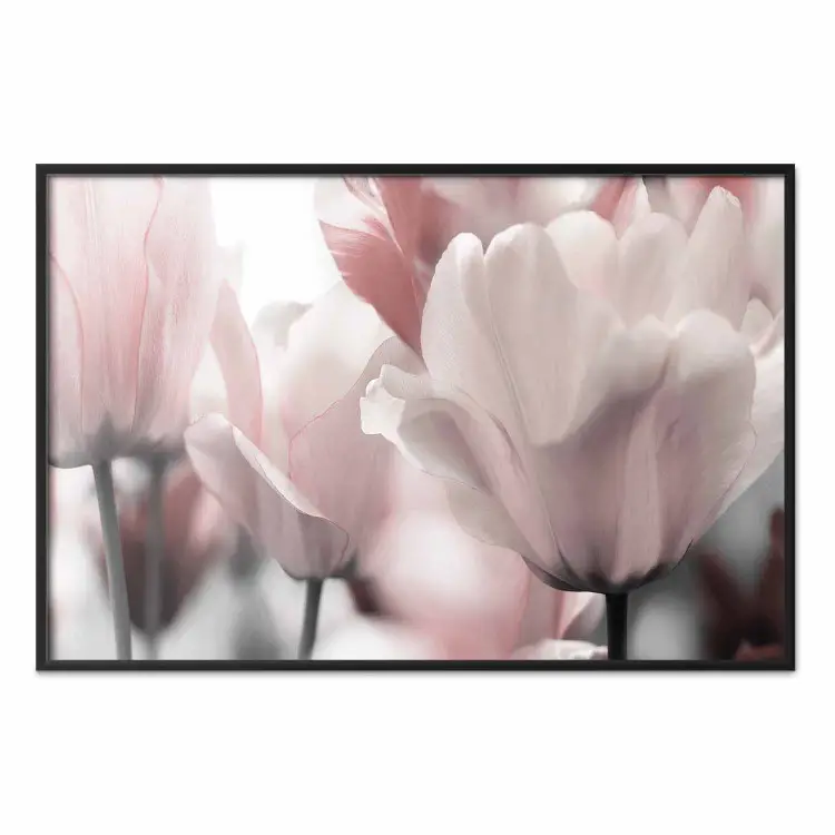 Märchenhafte Tulpen - Komposition mit hellrosa Frühlingsblüten