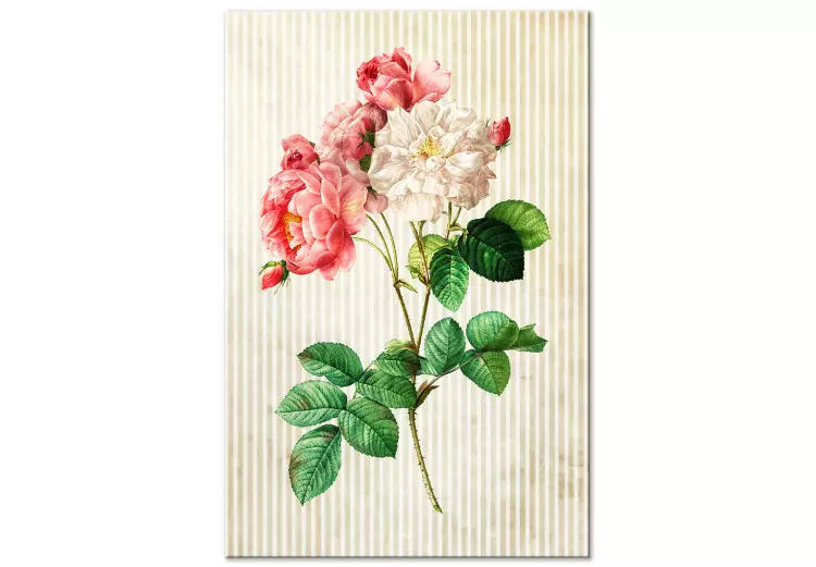 Bunte Rosen im Retro-Stil (1-teilig) - Blumennaturinspiration