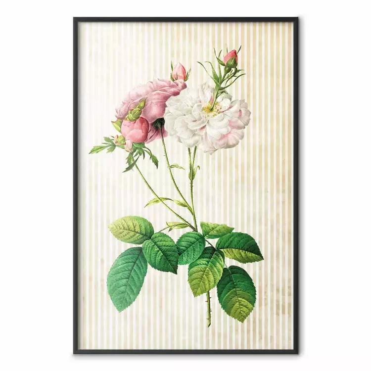 Florale Anordnung - Bunte Komposition mit Blumen und Streifen