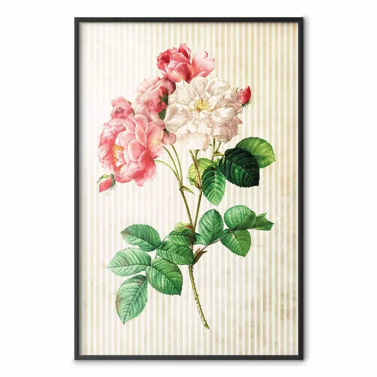 Himmlische Rose - Bunte Komposition mit Blumen auf beigem Hintergrund