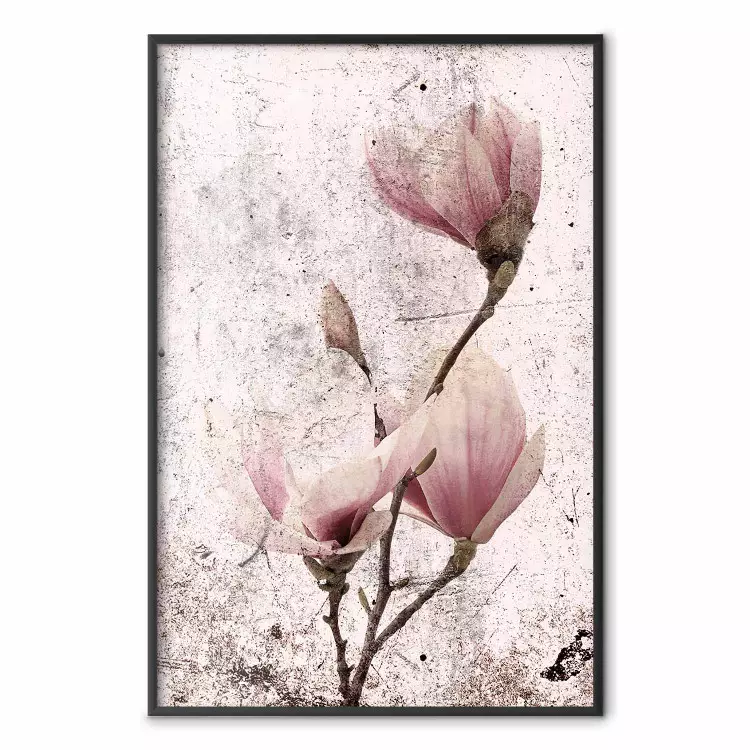 Reife Magnolie - Vintage Blüten