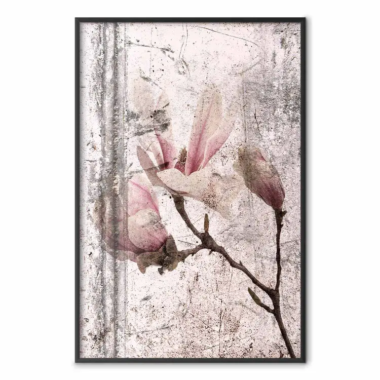 Exquisite Magnolie - Vintage Pflanzen
