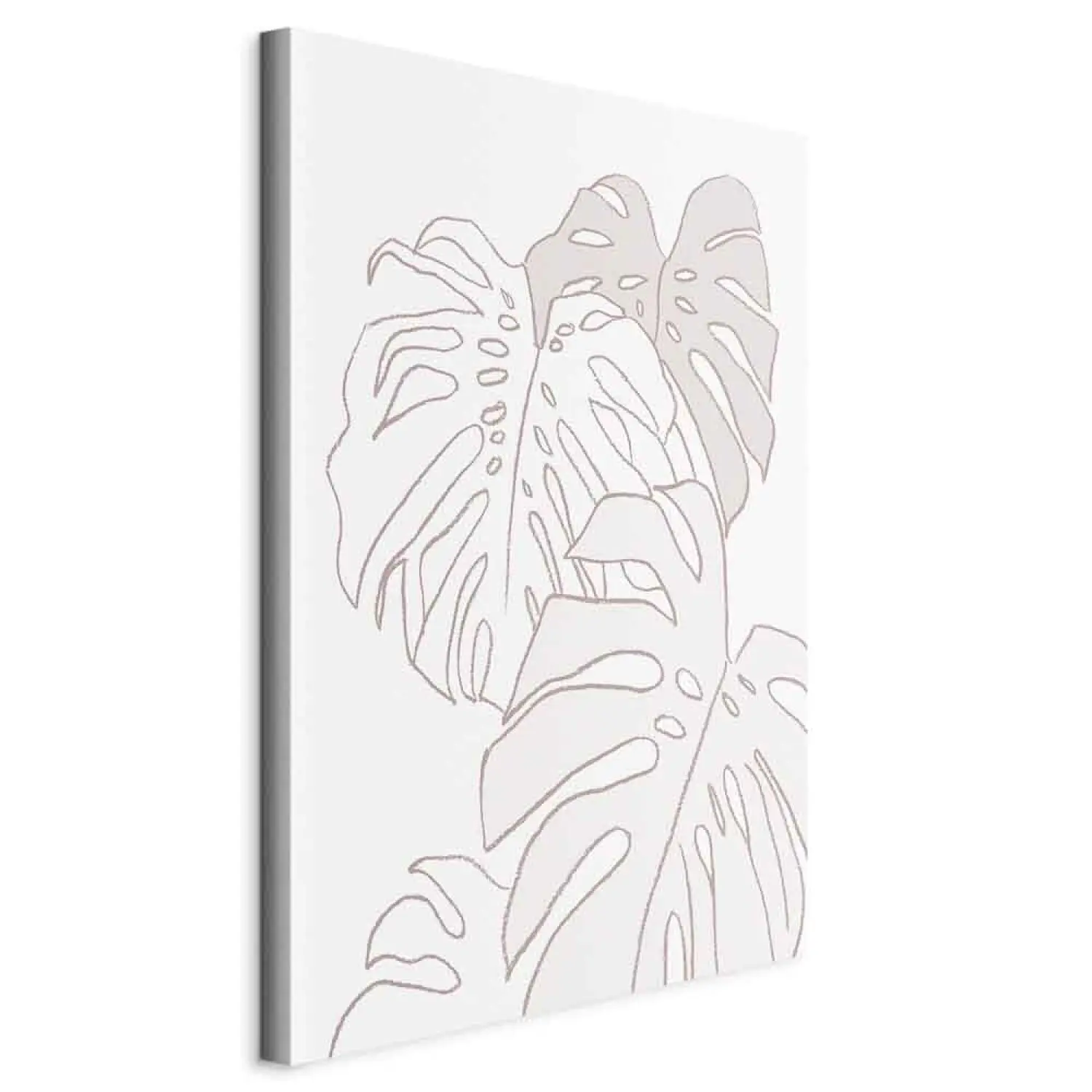 Wandbild Studium der Monstera - Illustration einer linearen Bltter-Skizze  - Monstera - bimago