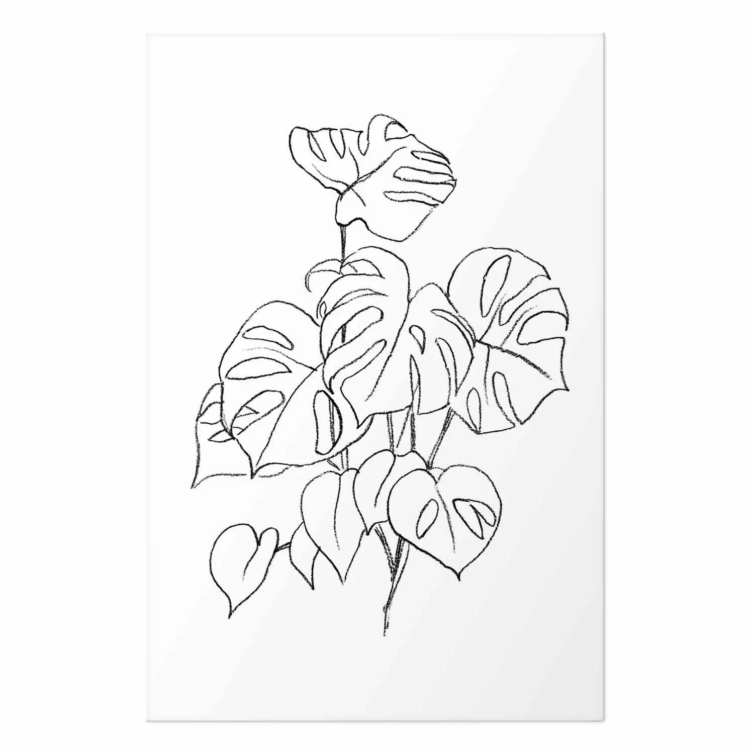 Poster Monochromatische Monstera - Schwarz-Wei-Lineart, exotische Bltter  - Poster - bimago