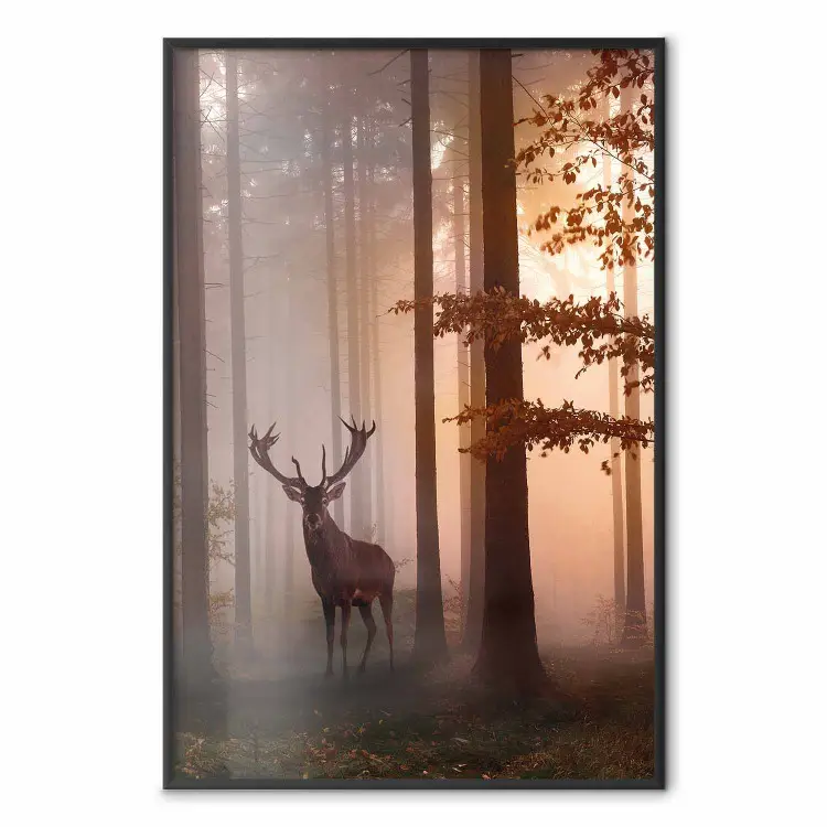 Morgen - Wilder Hirsch unter Herbstbäumen, morgendlicher Hintergrund