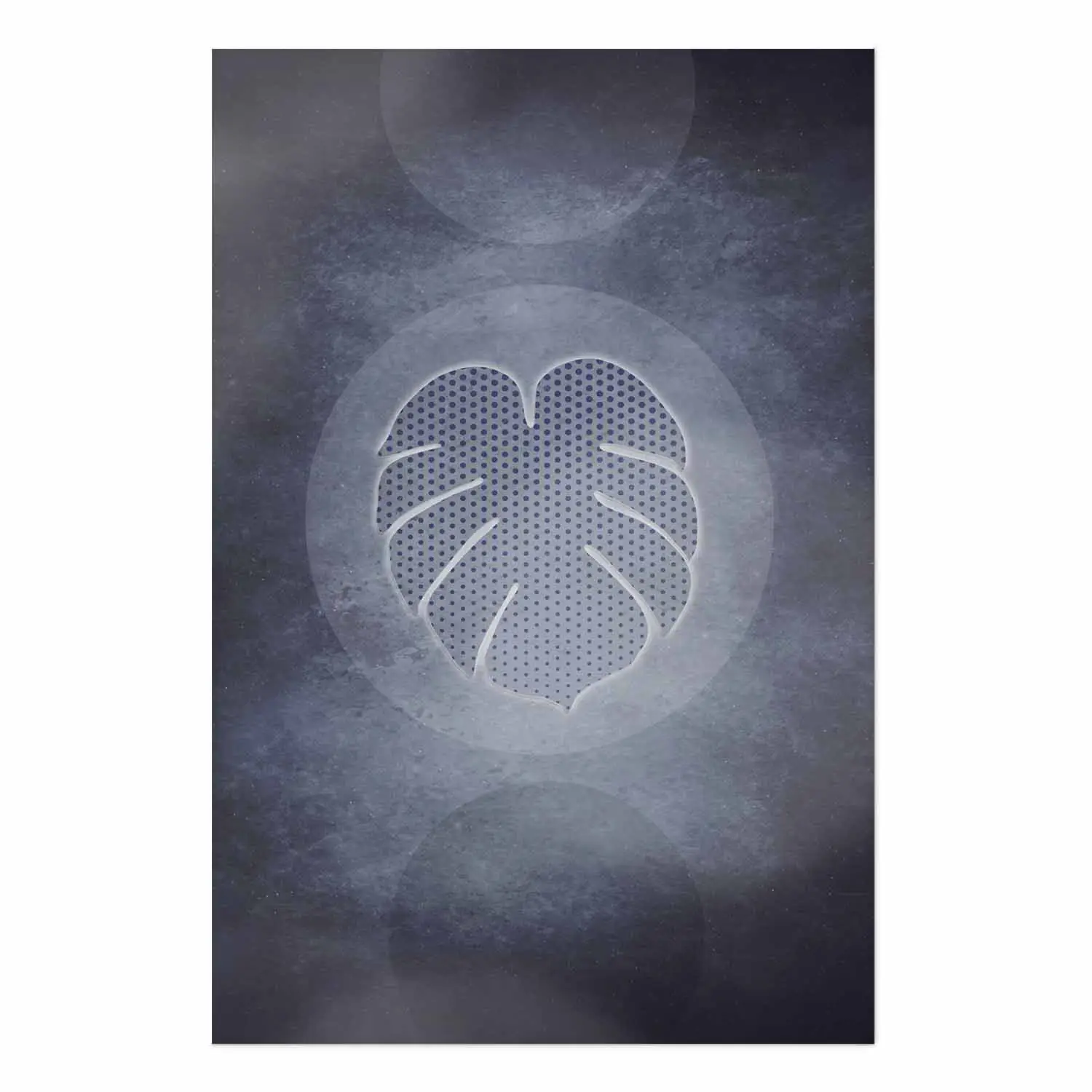 Wandposter Auergewhnliche Monstera - Monstera-Blatt in Kreis, blaue  Textur - Poster - bimago