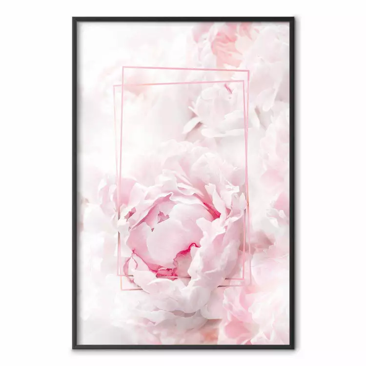 Vorübergehende Schönheit - Rechteckige Figuren, rosa Blumen im Licht