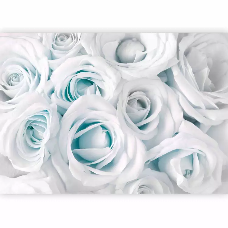 Satinrose (türkis)