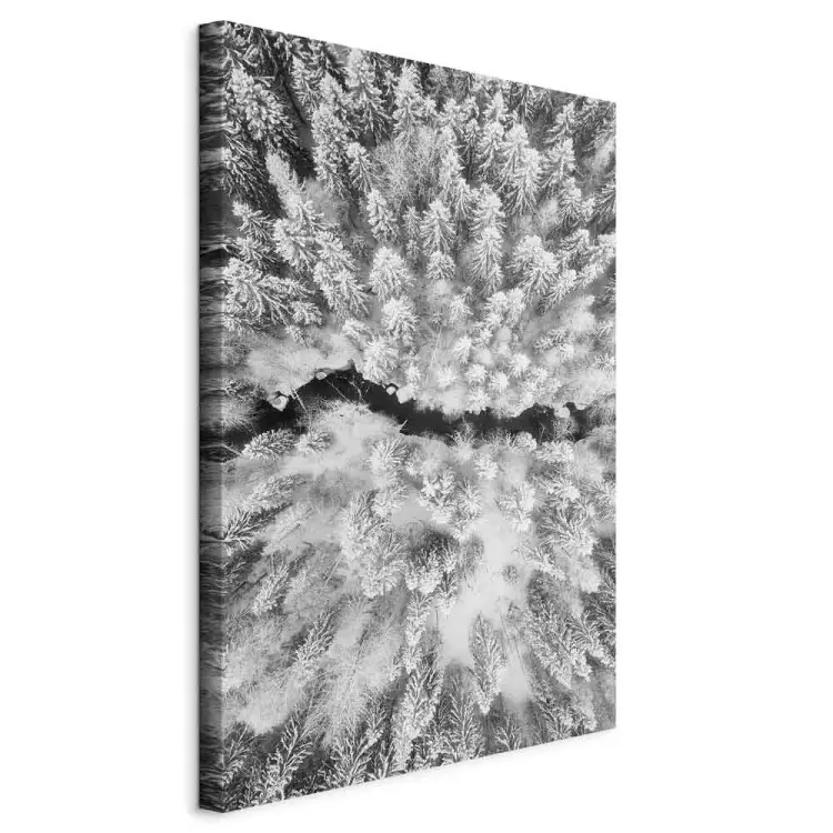 Winterwald von aus der Vogelperspektive - Winterlandschaft in SW