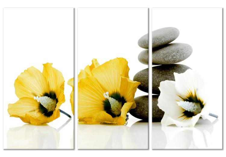 Leinwandbild Komposition mit Feng Shui-Blüten - Motiv mit gelben Malven und Steinen