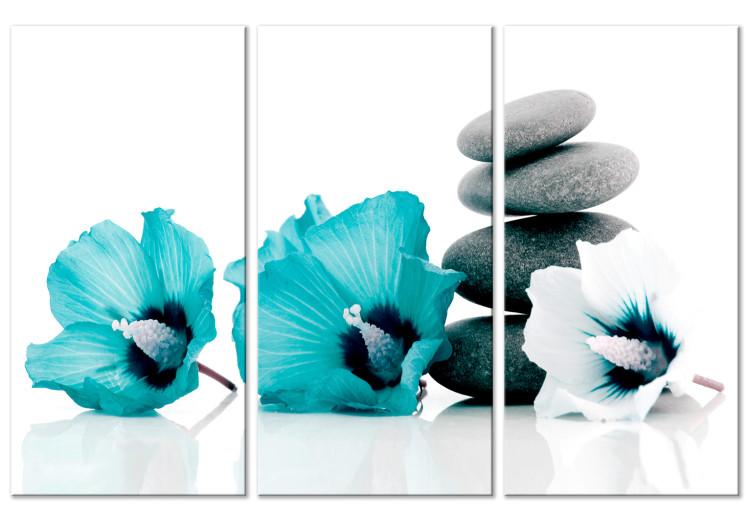 Leinwandbild Hellblaue Blumen mit Steinen - Feng Shui Komposition mit Malven