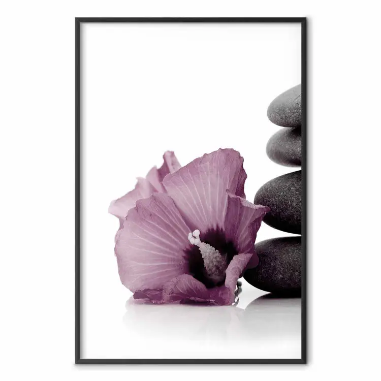 Steinige Beruhigung - Pflanze mit rosa Blüte und Steinen im Zen-Stil