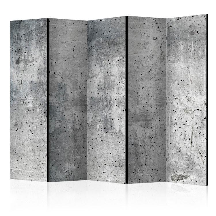 Paravent Fresh Concrete II [Room Dividers]