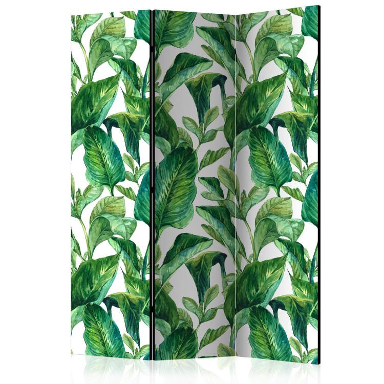 Paravent Tropical Paradise [Room Dividers]