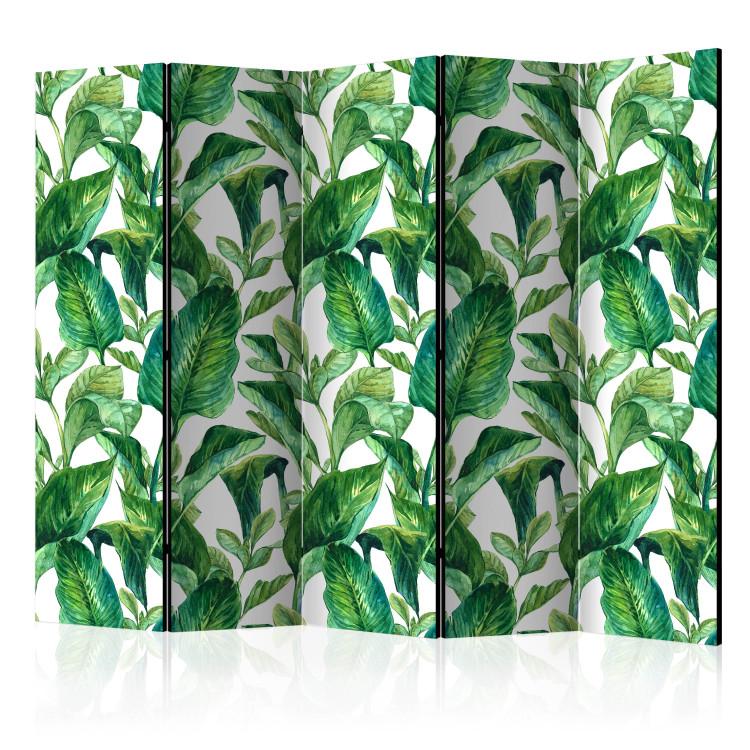Paravent Tropical Paradise II [Room Dividers]