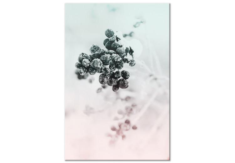 Leinwandbild Wintervogelkirsche – ein Zweig mit dunklen Früchten, die mit Frost bedeckt sind