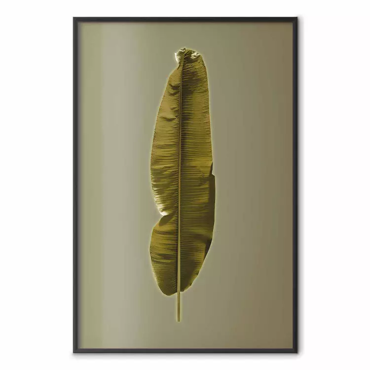 Exotisches Blatt - Grünes Blatt auf einfarbigem Hintergrund