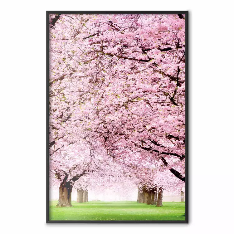 Kirschhain - Landschaft mit grünem Gras und Bäumen mit rosa Blättern