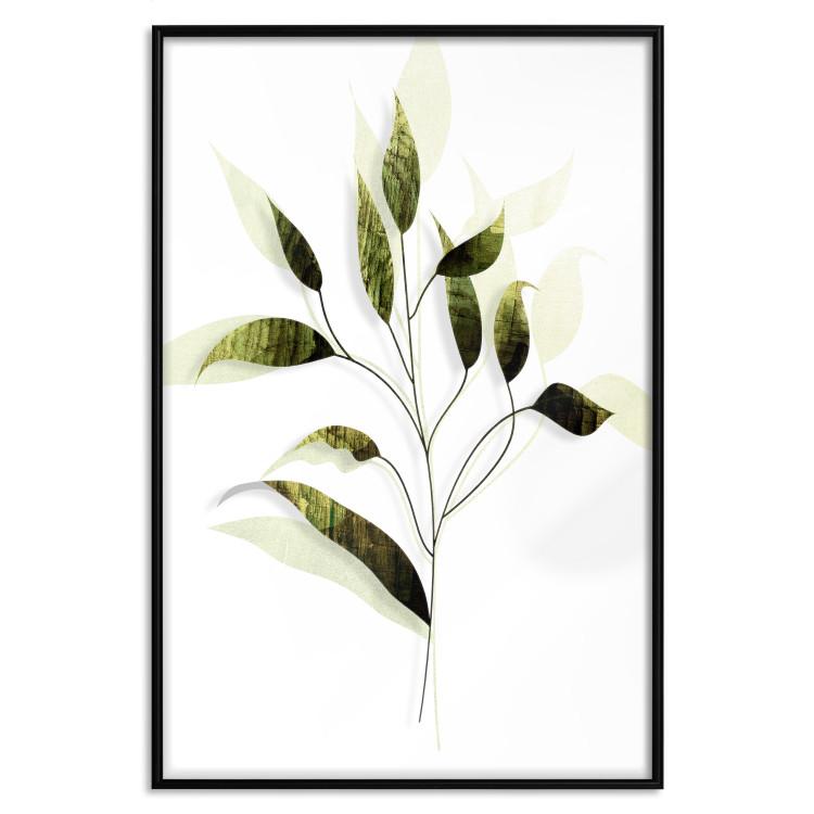 Poster Olive Twig [Poster]