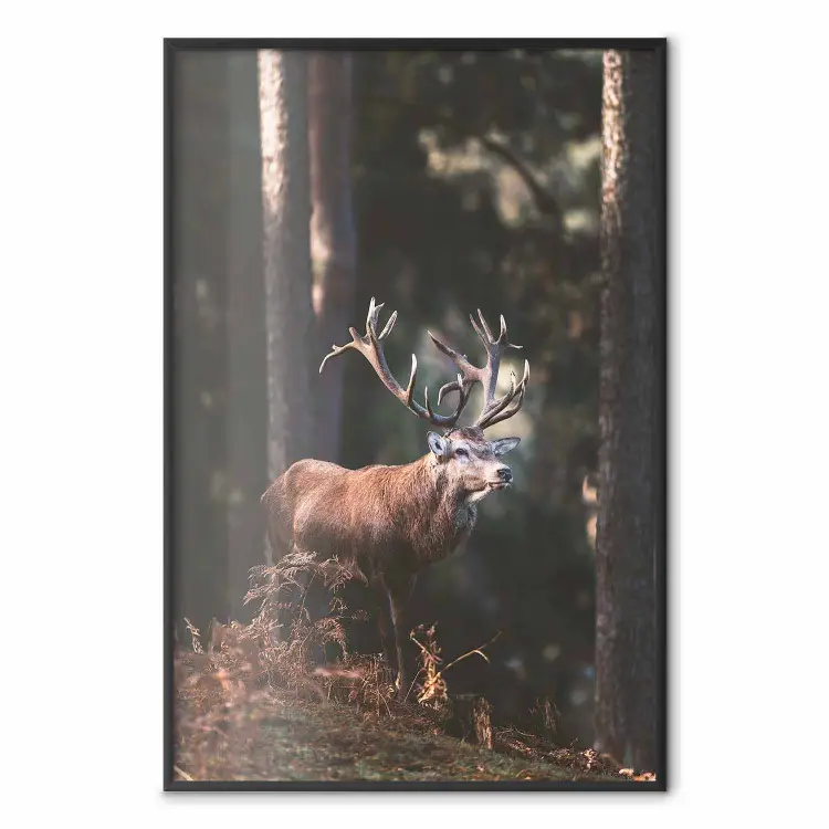 Walderhabener - Landschaftsbild eines Waldes mit Hirsch vor Bäumen