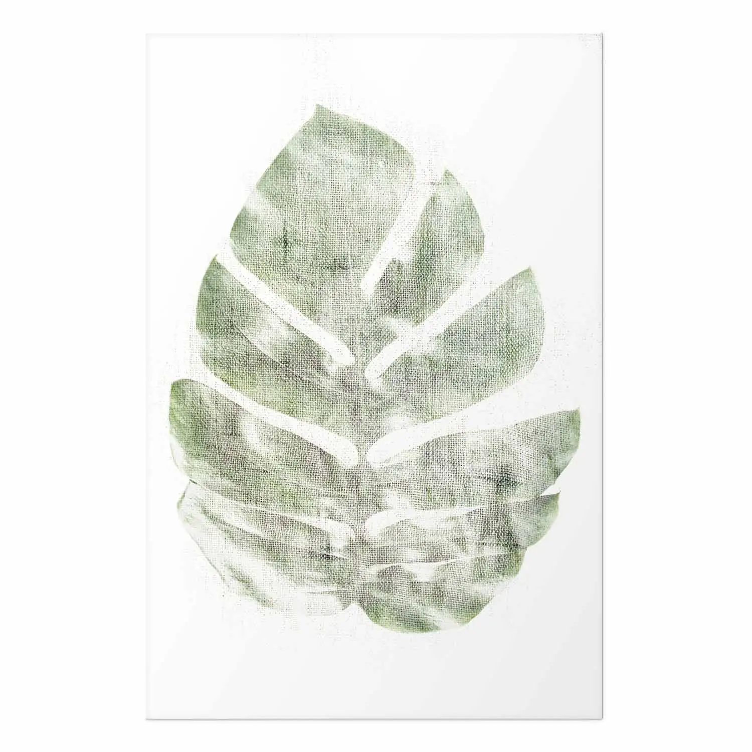 philodendron prince Philodendron 'Prince of Orange' Large main image 1