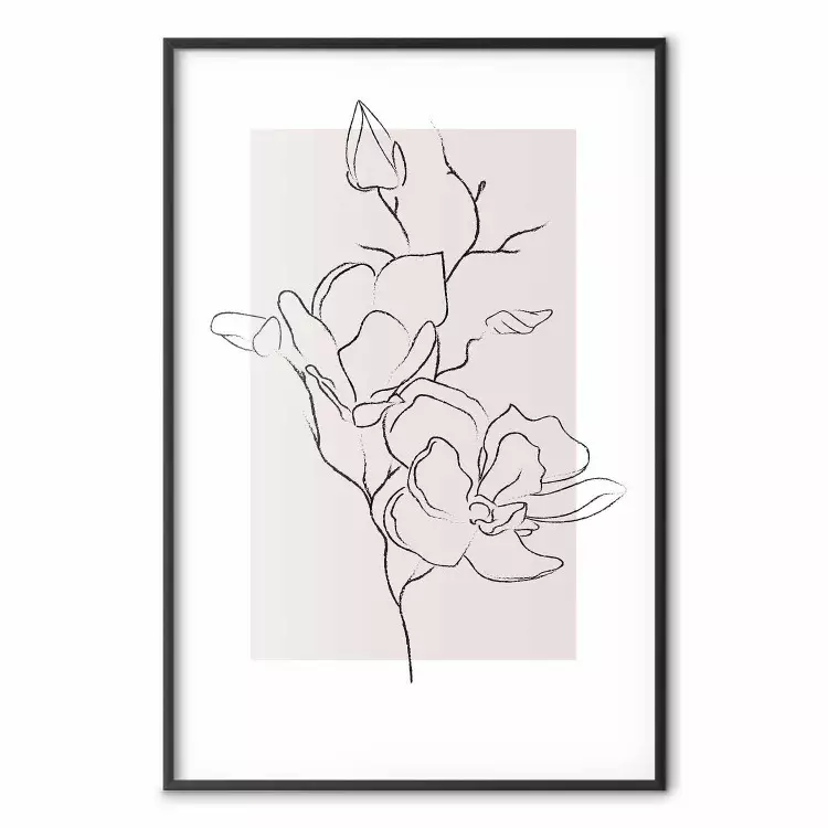 Cremige Magnolie - Abstrakte Magnolienblüte
