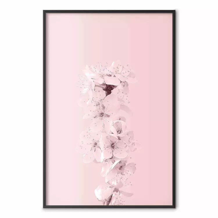 In voller Blüte - Rosa Pflanzen mit Blumen