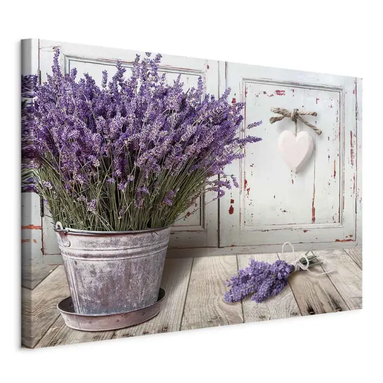 Sonniger Garten breit