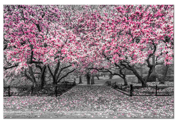 Leinwandbild Magnolia Park (1 Part) Wide Pink