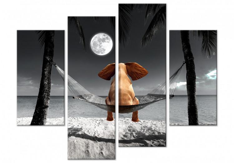 Leinwandbild Elefant auf einer Hängematte, der auf den Mond schaut - 4-teilig
