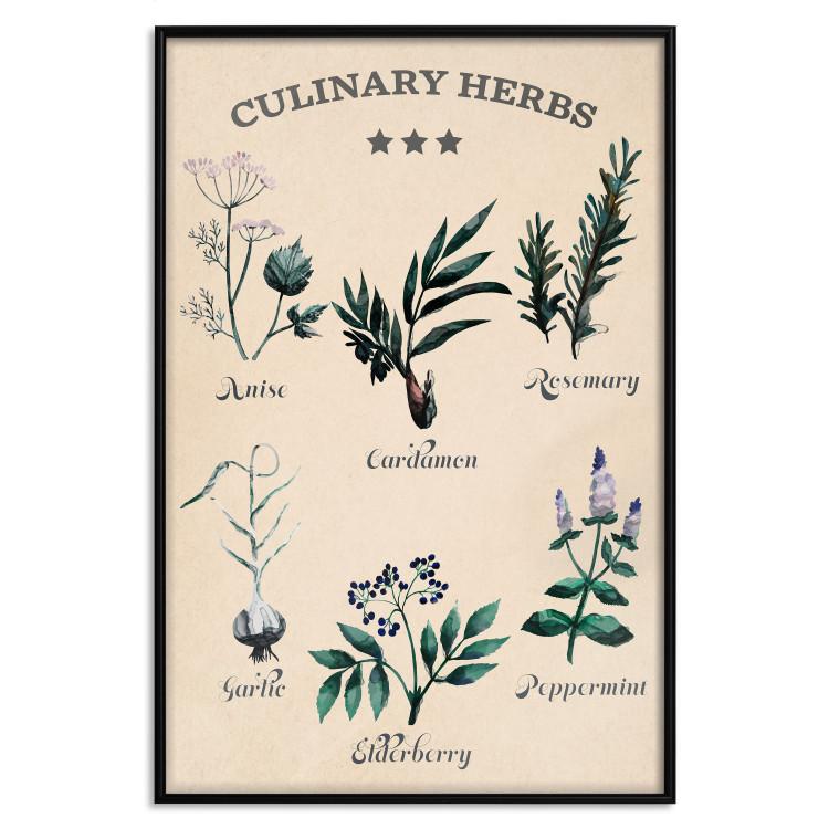 Kitchen Herbs [Poster]