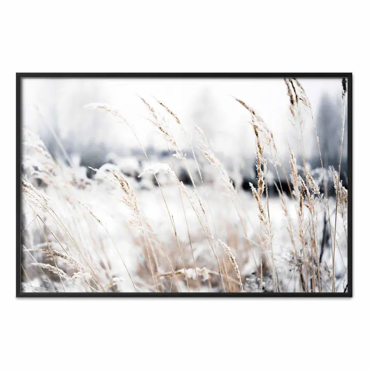 Eisige Landschaft - Winterlandschaft mit Goldakzenten