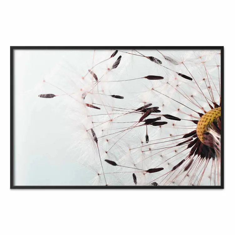 Windhauch - Pusteblume auf kontrastreichem hellem Hintergrund