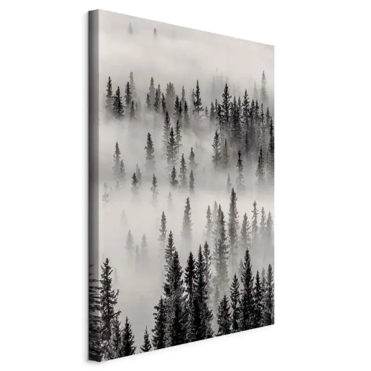 Urwald Hochformat - Nebliger dunkler Wald