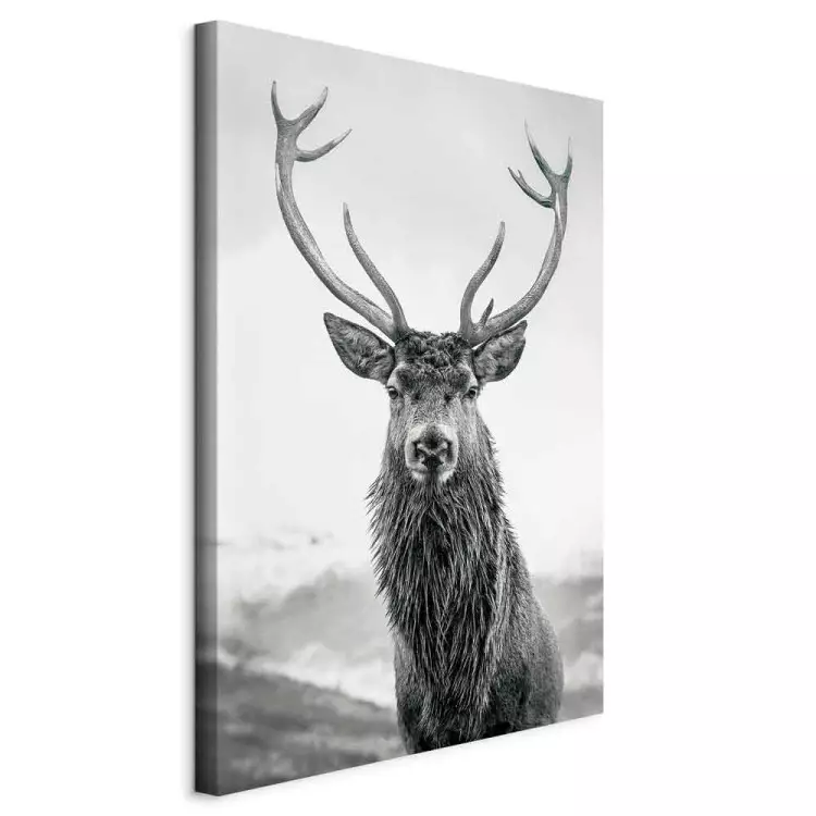 Herbstherrscher (1-teilig) Hochformat - Schwarz-weißes Tierporträt
